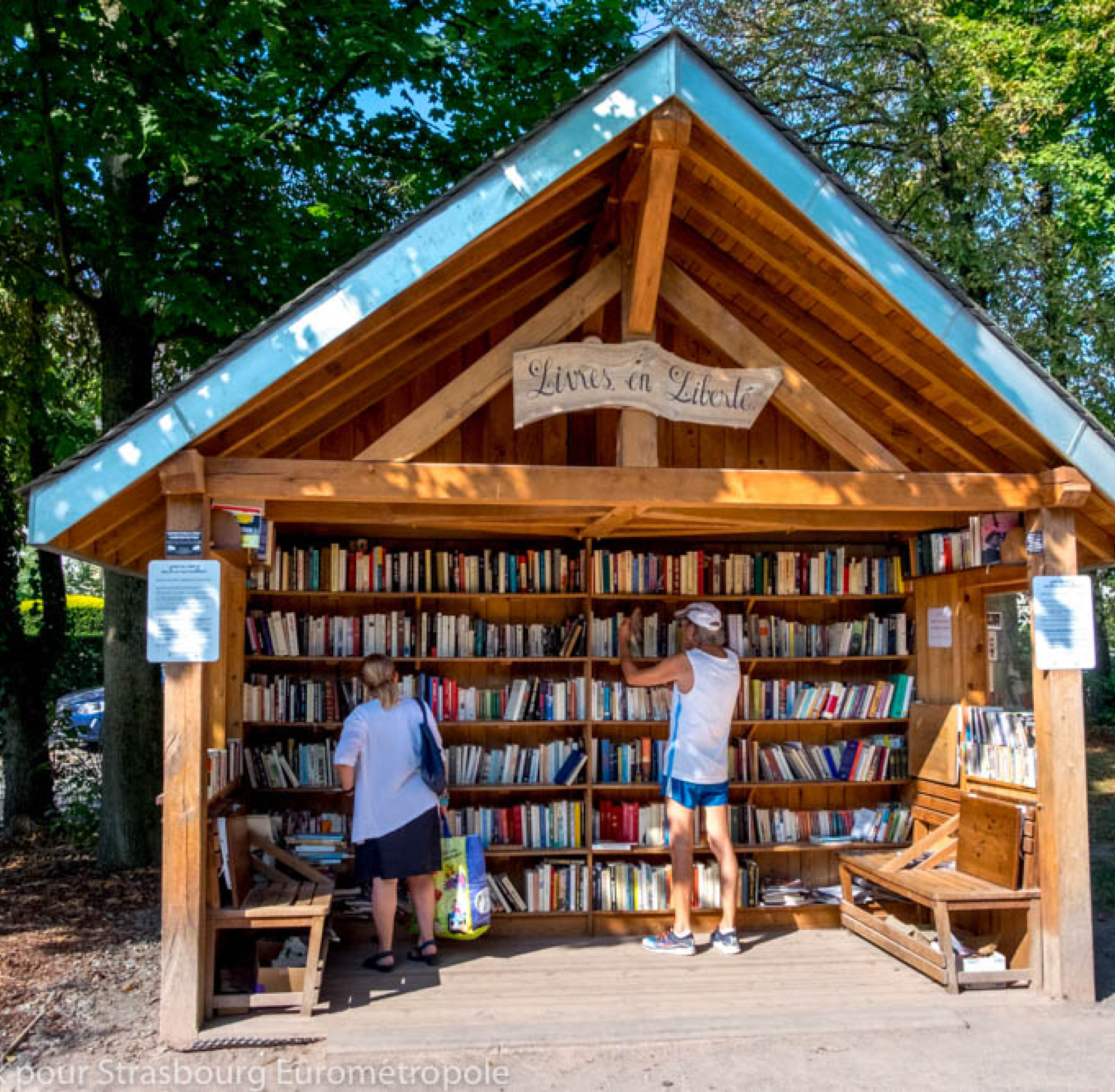 La cabane à livres de l'orangerie