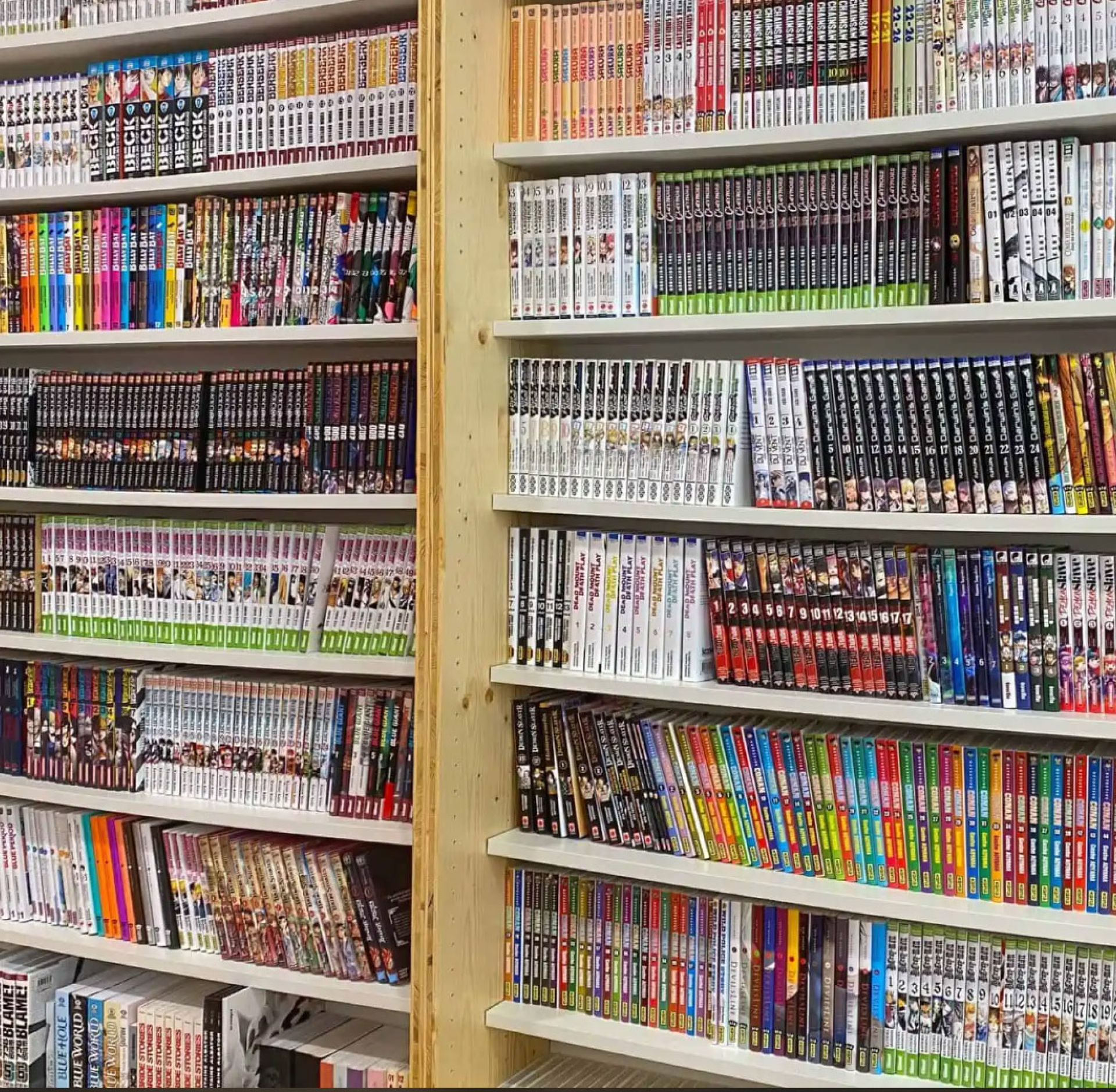 Des rayonnages de mangas dans une librairie